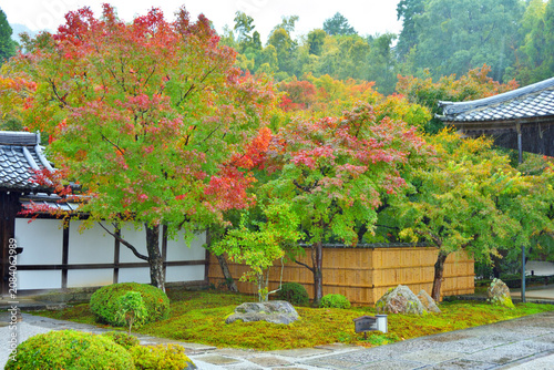 Tableau sur toile 圓光寺の紅葉