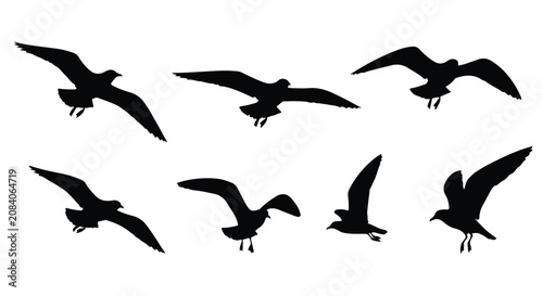 Quadro su tela Flying seagull silhouettes set, black bird vector icons in flight, 7 coastal sea