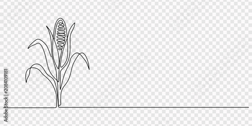 Bild auf Leinwand corn plant with a single ear continuous one line drawing, Line art of corn on the cob with husk highlighting detailed kernels