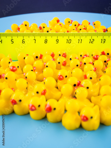 Close-up of cute interior mini figurines shaped like ducks on a blue background.