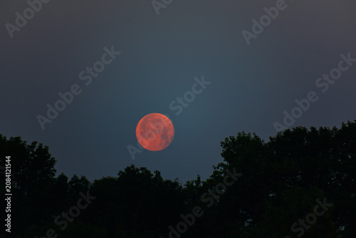 Red Full Moon Low Above Forest Silhouettes in Clear Twilight Sky