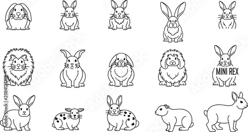 Foto Rabbit Breed Icon Set with Holland Lop, Lion Head, Angora, Mini Rex, and Spotted