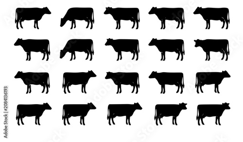 Fotografie Holstein Dairy Cow Silhouette Vector Set with Full Body Standing Cattle for Farm