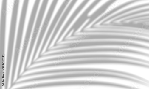 Soft palm leaf shadow silhouette cast on transparent background