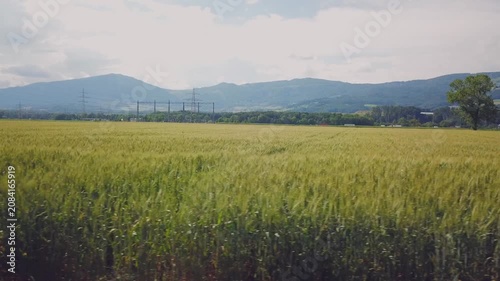 landscape with green grass and clouds