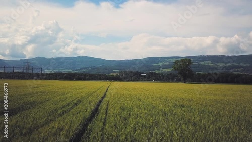 green field and blue sky