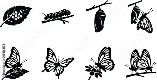 Konstfotografi Butterfly Life Cycle Black Silhouette Icon Set with Caterpillar Chrysalis Metamo