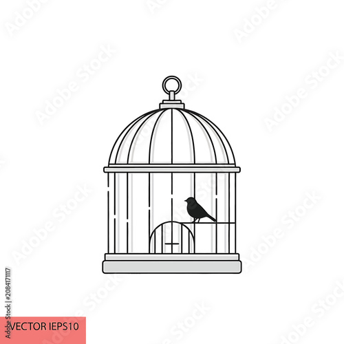 Black bird in a cage.