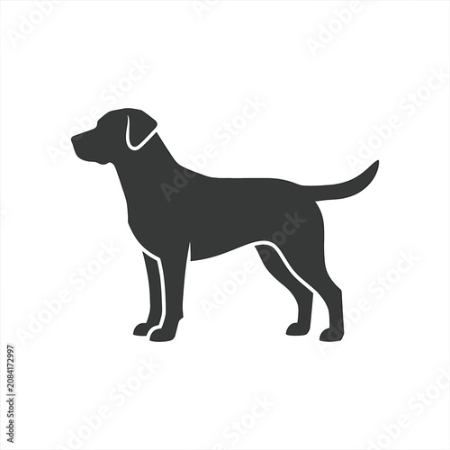 Black dog standing profile view.