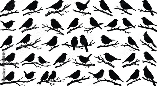 Collection of black bird silhouettes perched on tree branches against white background