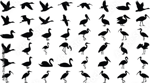 Foto Collection of black bird silhouettes, including ducks, geese, swans, pelicans, f