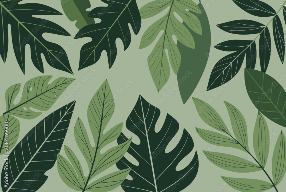 Fototapeta premium Lush composition of various tropical green leaves including monstera and palm fronds arranged on a soft sage background.