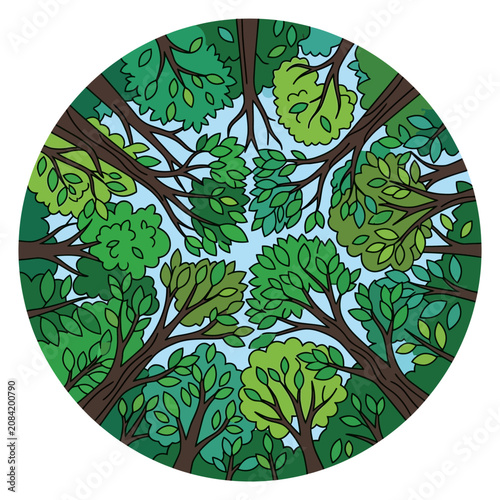 A circular illustration showing a view looking up through the canopy of a lush green forest