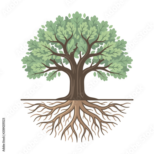 A stylized illustration of a large deciduous tree with visible roots