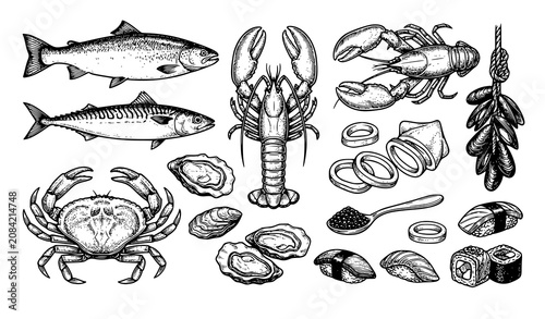 Foto Vintage Hand Drawn Fresh Seafood and Japanese Sushi Engraving Vector Element Set