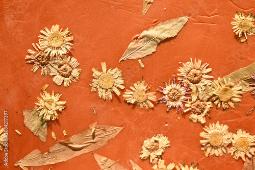 Dried flowers. Composition	