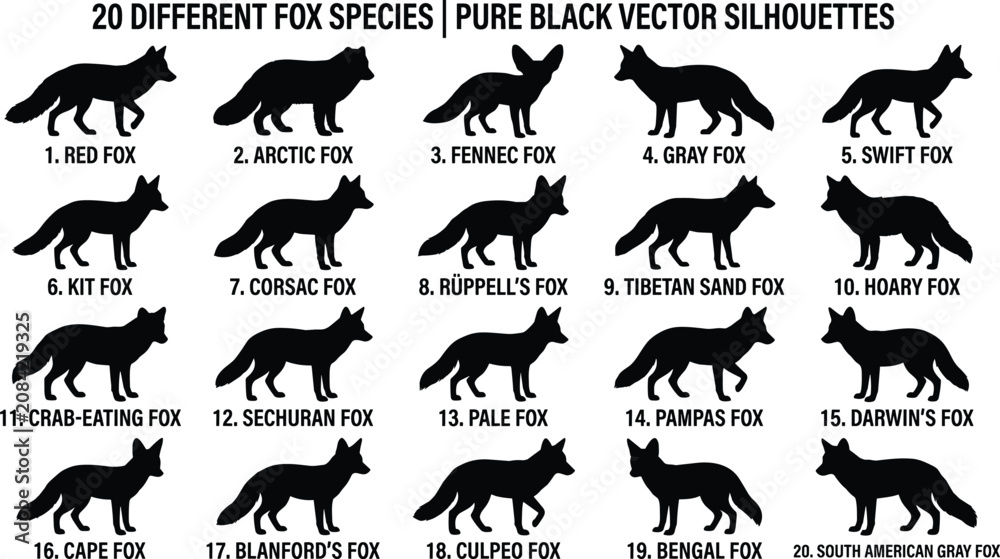 Obraz premium Fox Species Silhouette Set: 20 Different Foxes Including Red Fox, Arctic Fox, and Fennec Fox Vector Illustration
