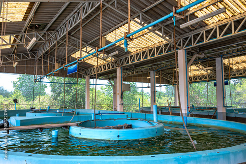 Indoor aquaculture facility temporary fish holding tank used for educational and research purposes in aquatic animal research center in phetchaburi thailand