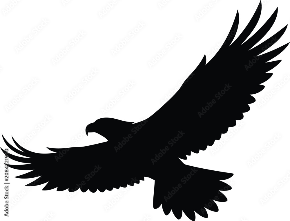 Fototapeta premium Dramatic Black Eagle Silhouette on White Background