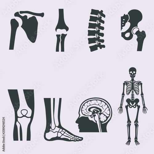 A collection of various human anatomy icons on a background