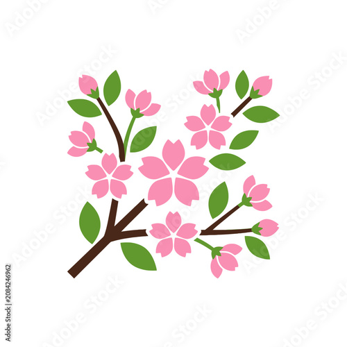 A simple illustration of pink cherry blossoms on a branch
