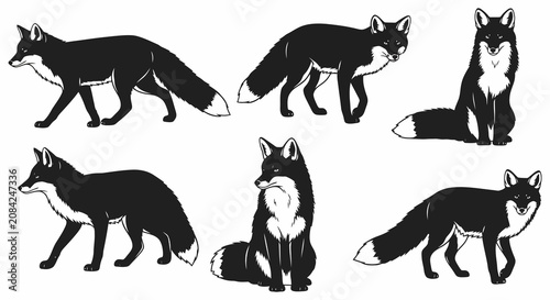 Photography Collection of Five Diverse Fox Illustrations in Various Poses.