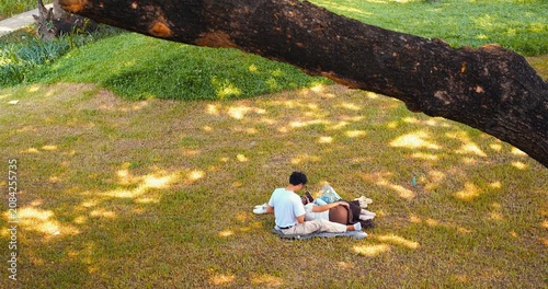 Picnic couple relaxing on grass beneath large tree in sunlit park, one person reading beside blanket and bags as dappled shadows spread across wide lawn and green open space, nearby path visible