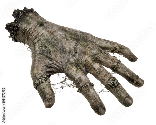 Decayed zombie hand isolated on white, png transparent background.