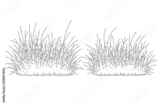 Minimalist hand drawn grass tufts vector, black and white line art meadow plants, botanical sketch of wild grass clumps for landscape design
