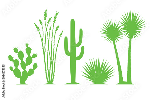 Green desert cactus silhouettes set, flat vector succulent plant icons, prickly pear and saguaro cactus collection for landscape design