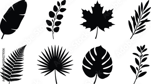 Botanical Leaf Silhouette Vector Set with Tropical Fern Maple and Branch Elements