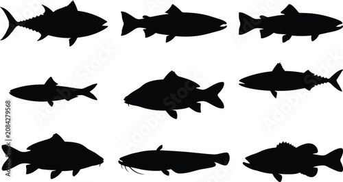 Fish Silhouette Vector Set with Freshwater and Marine Species Collection
