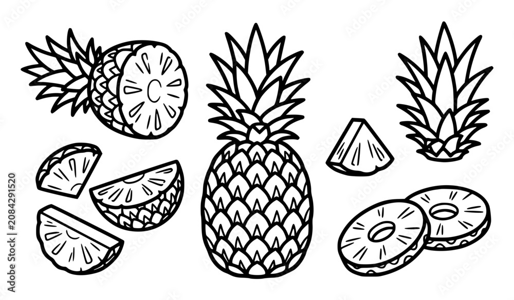 Fototapeta premium Pineapple Fruit Line Art Icon Set Vector