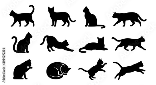 Diverse Cat Silhouettes Collection, Feline Poses Vector Pack, Black Animal Icons for Graphic Design, Pet Themed Art Elements
