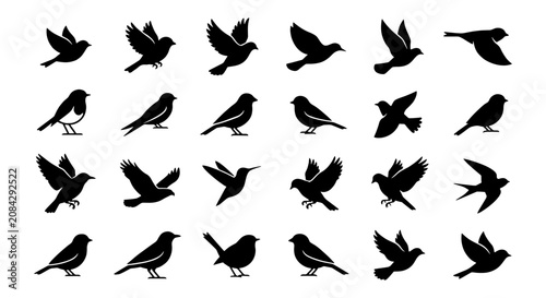 25 Silhouette Bird Icons, Flying and Perching Vector Graphics, Avian Wildlife Collection for Nature and Freedom Concepts