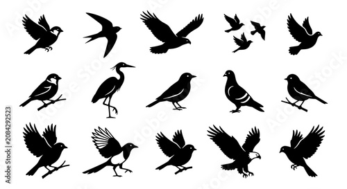 Diverse Bird Silhouettes Collection, Flying and Perched Avian Icons, Wildlife Vector Graphics for Nature and Ornithology Designs