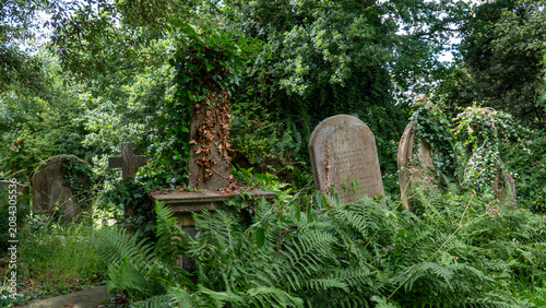 Weathered Tombstones in an Old Rural Graveyard