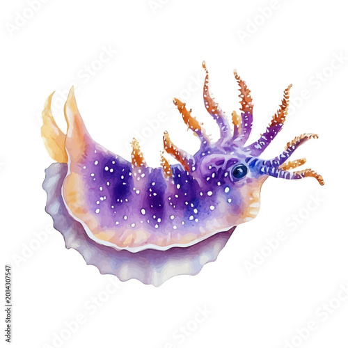 Foto Nudibranch, graceful vector watercolor painting with soft flowing strokes and subtle highlights, isolated on a white background