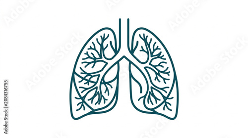 Obraz na plátně Illustration of human lungs and respiratory system anatomy.