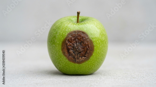 Green apple with large rotten spot on side, showing decay and damage on fresh fruit surface