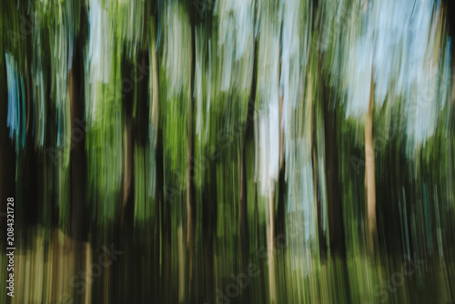 Quadro su tela Abstract intentional camera movement forest background