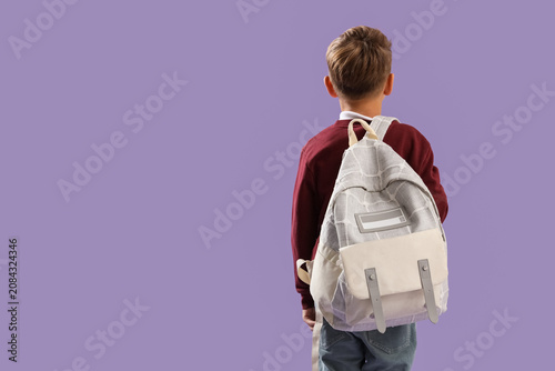 Little schoolboy with backp...