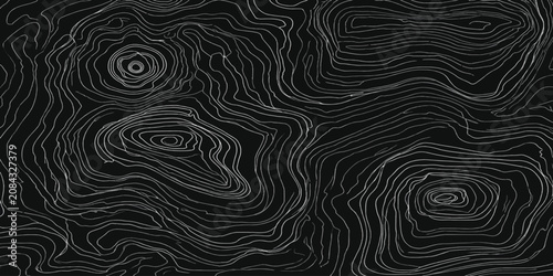 Tableau sur toile Intricate topographic map style contour lines on black with topography elevation