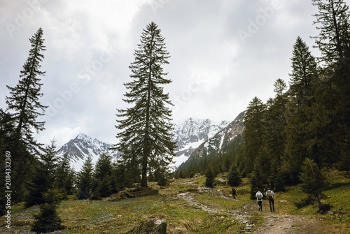 Fotografie Two hikers navigate a winding trail adorned with lush greenery and wildflowers,