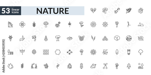Foto outline nature icons set - plum leaf, american larch tree, bigtooth aspen tree, savannah