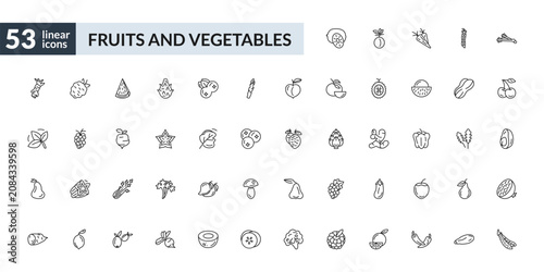 Bild auf Leinwand outline fruits and vegetables icons set - kiwi, carambola, celery, pea