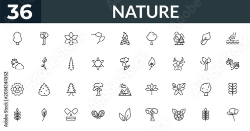 Konstfotografi outline nature icons set - sassafras tree, american elm tree, eastern cottonwood tree, briar leaf