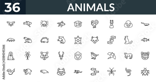 Fotografía outline animals icons set - fennec fox, fish and a knife, sable, jaguar