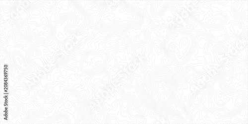 Canvastavla Abstract Topographic Contour Lines Background Pattern Minimalist Map Line Art Te