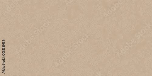 Quadro su tela Beige Topographic Contour Pattern Background With Abstract Map Lines And Organic